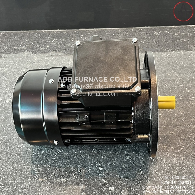 TYPE YE3-80M2-2 B5 (8)